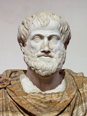 Aristotle Marble Bust Sculpture with Beard and Classical Drapery HD phone wallpaper