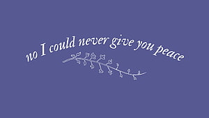 Taylor Swift Lyrics Quote with Delicate Floral Branch Illustration on Muted Blue Background HD wallpaper