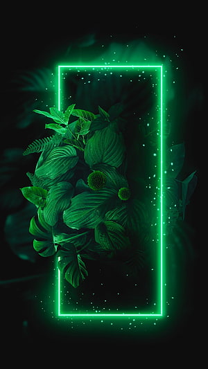 Glowing Green Neon Frame Surrounding Lush Tropical Foliage on Dark Background HD phone wallpaper