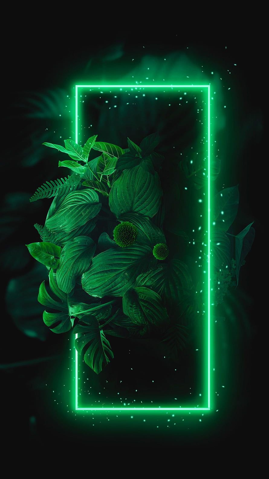 Glowing Green Neon Frame Surrounding Lush Tropical Foliage on Dark Background HD phone wallpaper