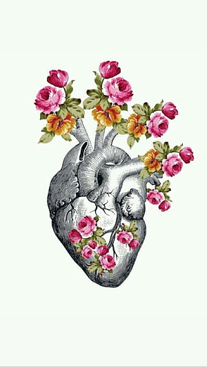 Anatomical Heart with Blooming Roses and Marigolds Vintage Illustration HD phone wallpaper