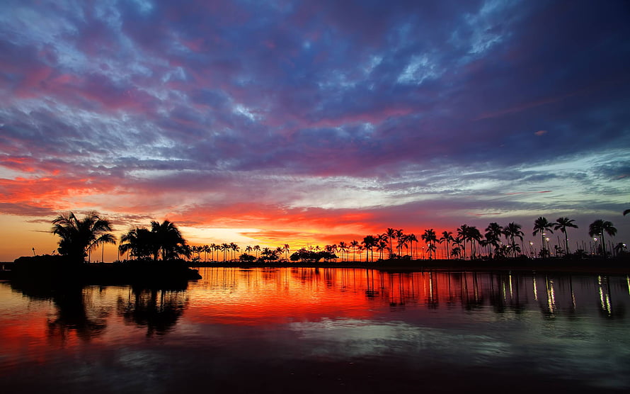 Vibrant Hawaiian Sunset Over Calm Waters With Silhouetted Palm Trees HD wallpaper