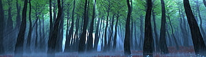 Misty Forest Scene with Tall Trees and Soft Light for Dual Monitor Display HD wallpaper