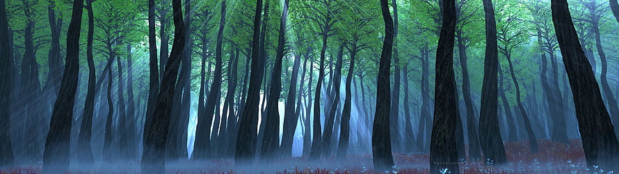 Misty Forest Scene with Tall Trees and Soft Light for Dual Monitor Display HD wallpaper