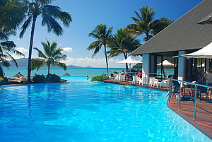 Tropical Resort Infinity Pool Overlooking Turquoise Ocean With Palm Trees HD wallpaper
