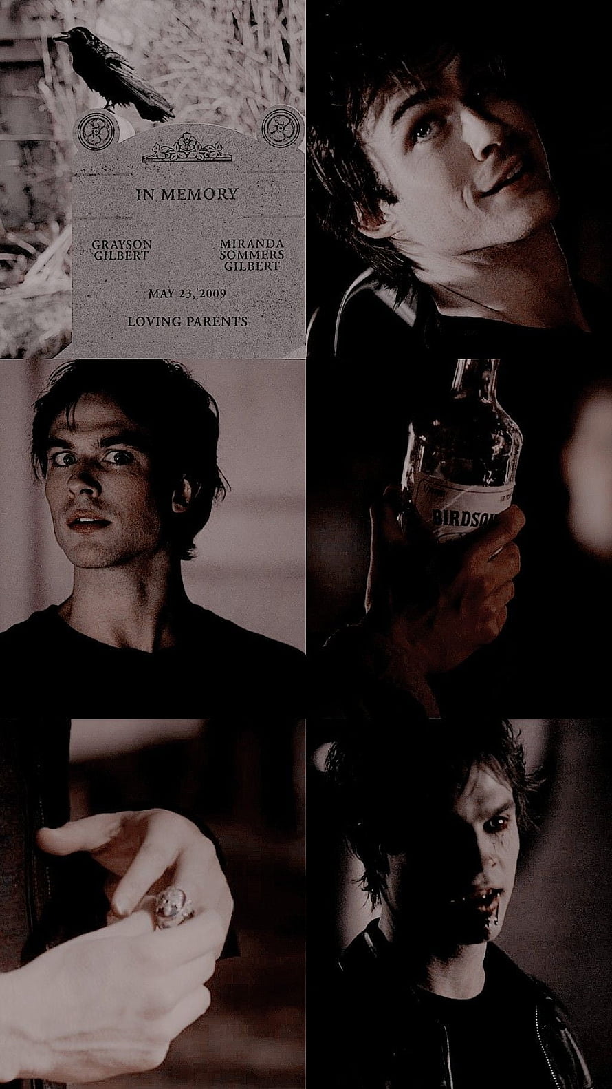 Damon Salvatore Vampire Diaries Dark Aesthetic Collage HD phone wallpaper