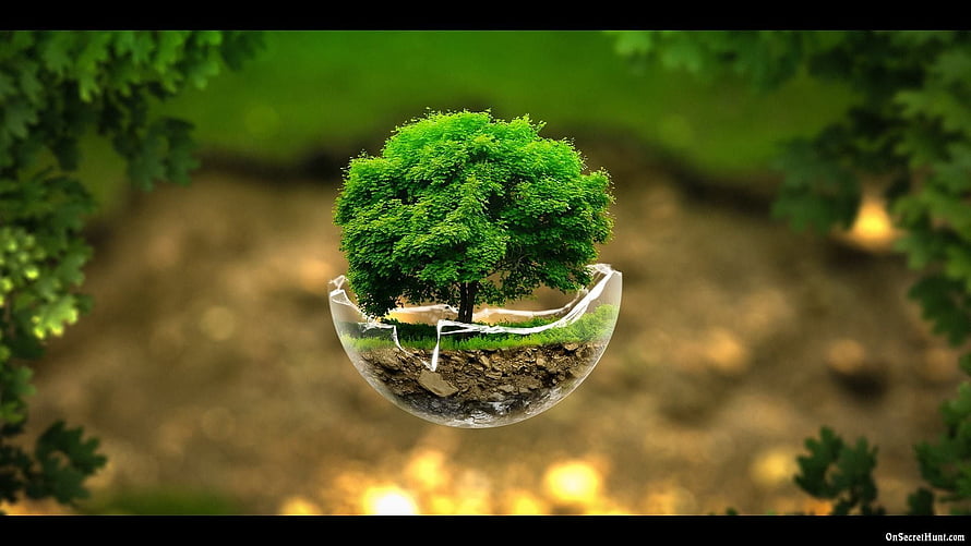 Surreal Tree Growing From a Cracked Glass Sphere in a Lush Green Forest Setting HD wallpaper