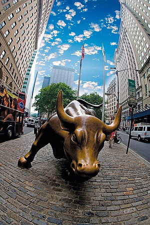 Charging Bull Statue in New York City Financial District HD phone wallpaper