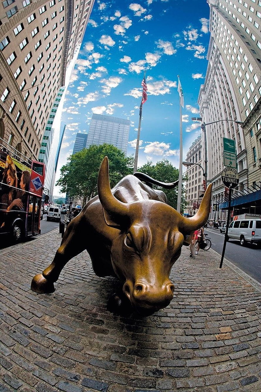 Charging Bull Statue in New York City Financial District HD phone wallpaper