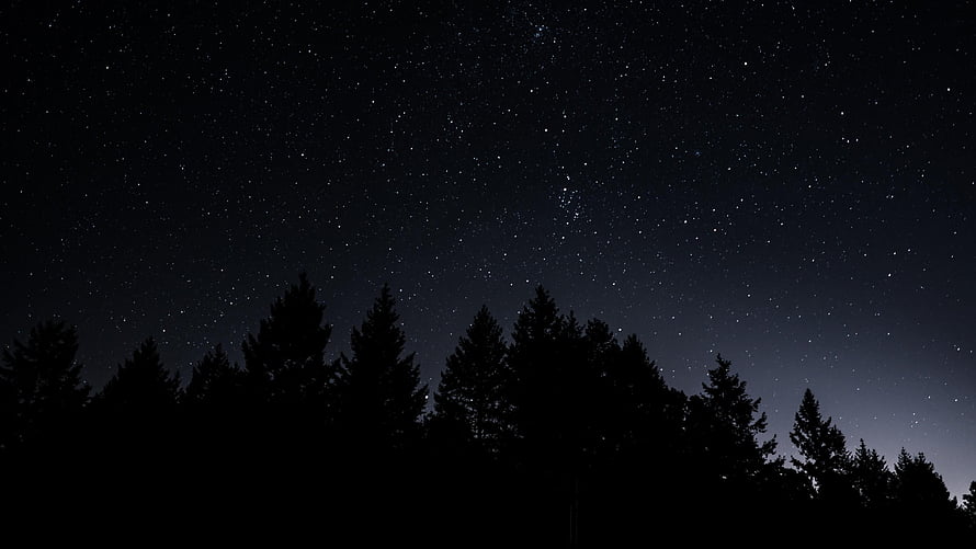 Starry Night Sky Over Silhouetted Pine Forest Landscape HD wallpaper