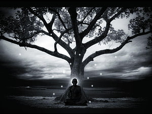 Buddhist Monk Meditating Beneath a Majestic Tree in a Monochrome Landscape HD wallpaper