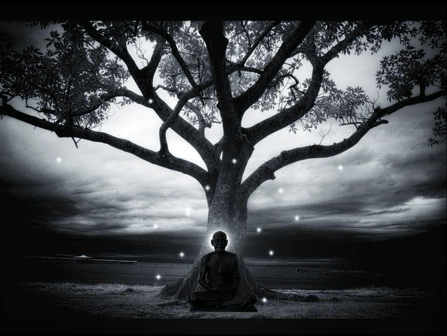 Buddhist Monk Meditating Beneath a Majestic Tree in a Monochrome Landscape HD wallpaper
