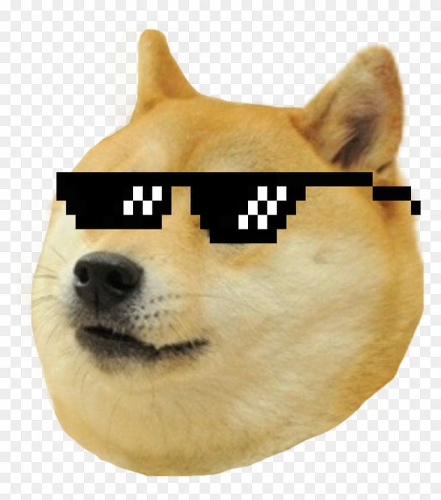 Thug Life Doge Shiba Inu Wearing Pixelated Sunglasses Meme HD phone wallpaper