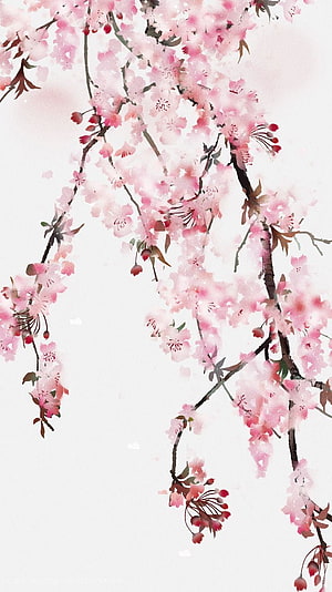 Delicate Pink Cherry Blossom Branches in Traditional Japanese Watercolor Painting Style HD phone wallpaper