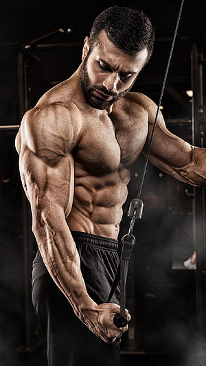 Muscular Man Performing Cable Tricep Pushdown in Dark Gym Setting, Men Muscle Workout Fitness Sport, Bodybuilding HD phone wallpaper
