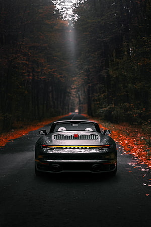 Rear View of a Black Porsche 911 Turbo S on a Misty Autumn Forest Road HD phone wallpaper