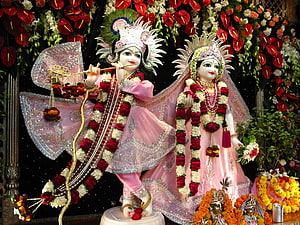 Radha Krishna Temple Idol Adorned With Pink Garments And Floral Garland HD wallpaper