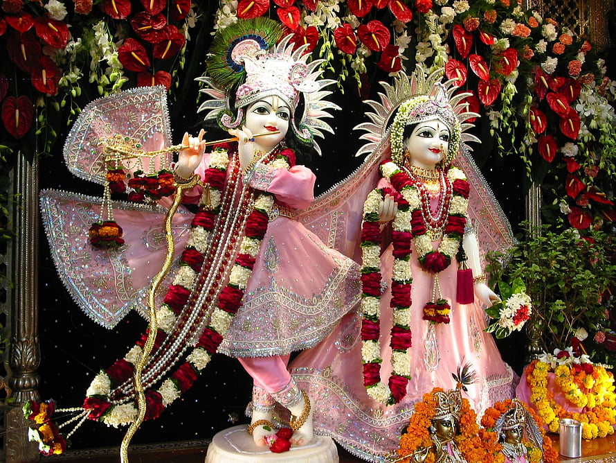 Radha Krishna Temple Idol Adorned With Pink Garments And Floral Garland HD wallpaper