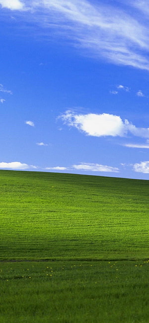 Windows XP Bliss Desktop Landscape with Rolling Green Hills and Blue Sky HD phone wallpaper