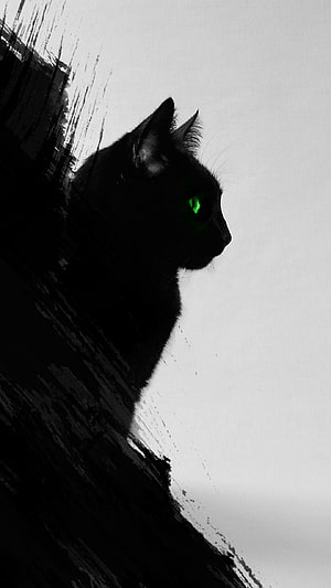 Mysterious Black Cat with Glowing Green Eyes in Dramatic High-Contrast Portrait HD phone wallpaper