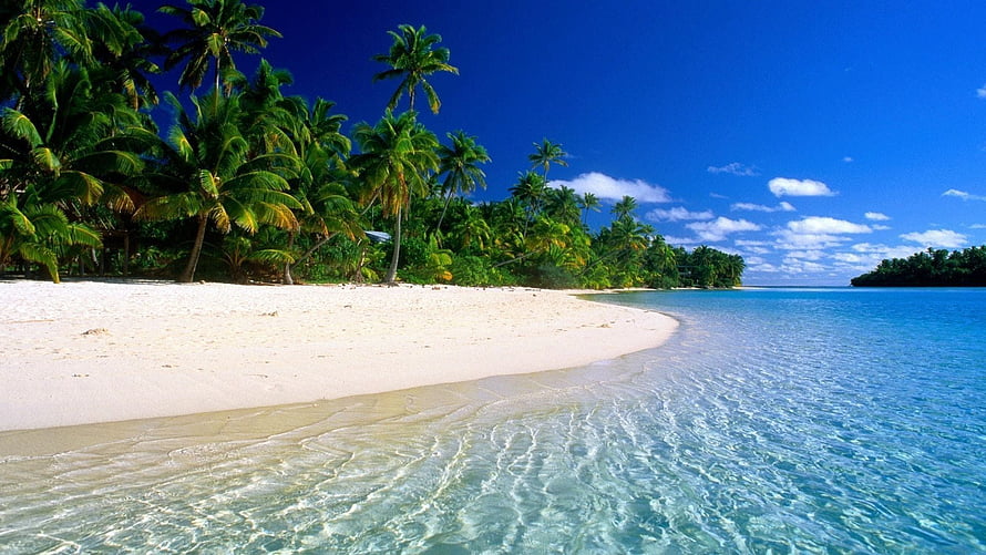 Pristine Tropical Island Beach With White Sand, Palm Trees, And Crystal Clear Turquoise Water HD wallpaper