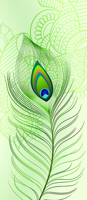 Stylized Peacock Feather Vector Art with Intricate Green Line Patterns and Decorative Mandala Background HD phone wallpaper