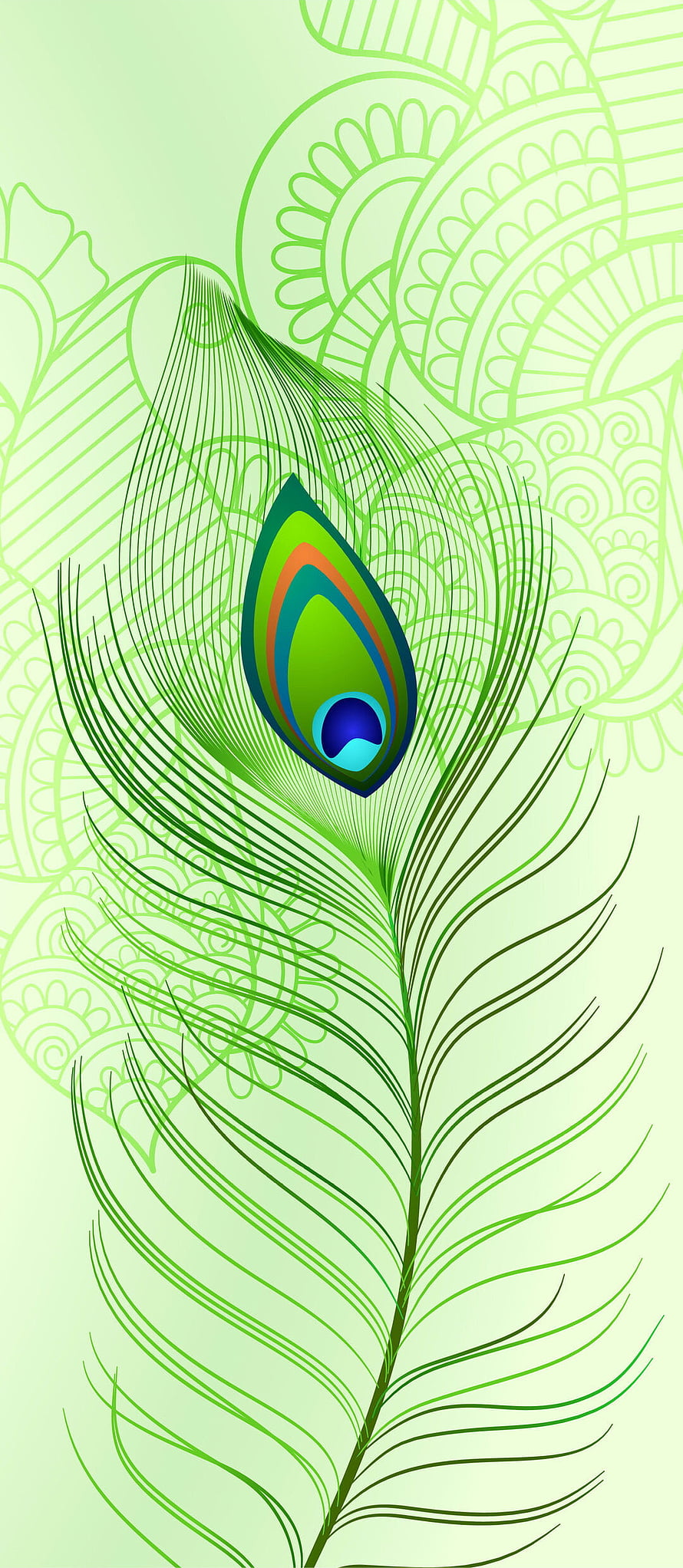 Stylized Peacock Feather Vector Art with Intricate Green Line Patterns and Decorative Mandala Background HD phone wallpaper
