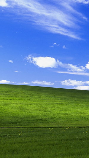 Vibrant Green Rolling Hills Under a Bright Blue Sky with Scattered White Clouds HD phone wallpaper