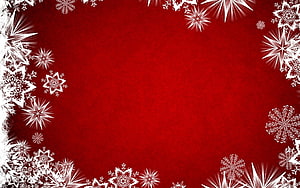 Festive Red Christmas Background With Intricate White Snowflake Border Design HD wallpaper