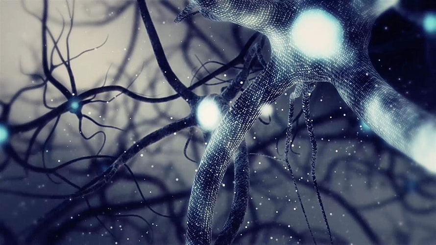 Glowing Neuron Network with Synaptic Connections and Blue Bioluminescence HD wallpaper