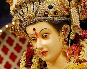 Vaishno Devi Murti Adorned With Jewels, Pearls, and Fresh Floral Garlands HD wallpaper