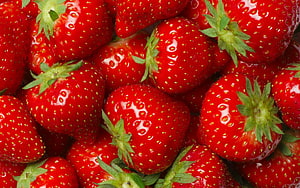 Fresh Ripe Strawberries With Green Leaves And Glossy Red Skin HD wallpaper