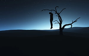 Silhouette of a Hanging Figure on a Bare Tree Under a Starry Night Sky HD wallpaper