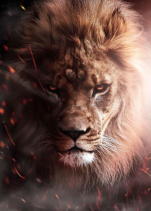 Majestic Male Lion Portrait With Glowing Amber Eyes And Dramatic Sparks HD phone wallpaper