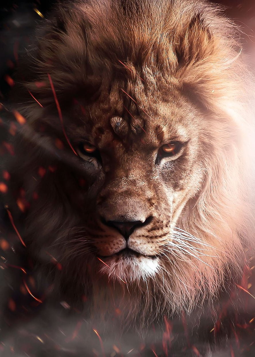 Majestic Male Lion Portrait With Glowing Amber Eyes And Dramatic Sparks HD phone wallpaper