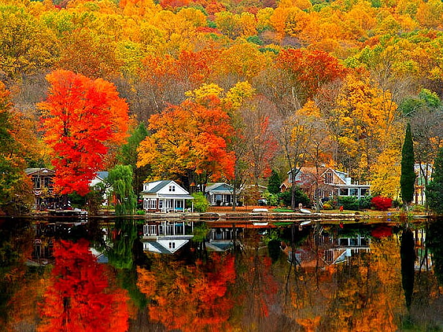 Vibrant Autumn Foliage and Lakeside Cottages Reflected in Still Water HD wallpaper