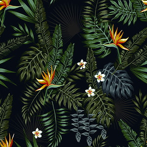 Dark Tropical Jungle Pattern with Bird of Paradise and Monstera Leaves HD phone wallpaper