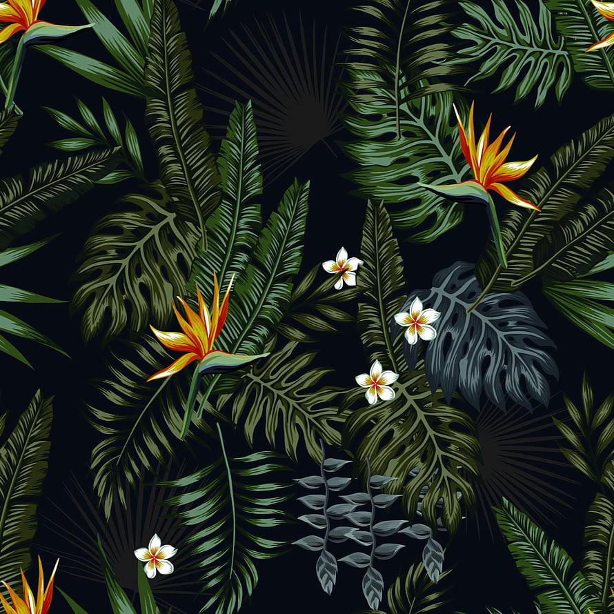 Dark Tropical Jungle Pattern with Bird of Paradise and Monstera Leaves HD phone wallpaper