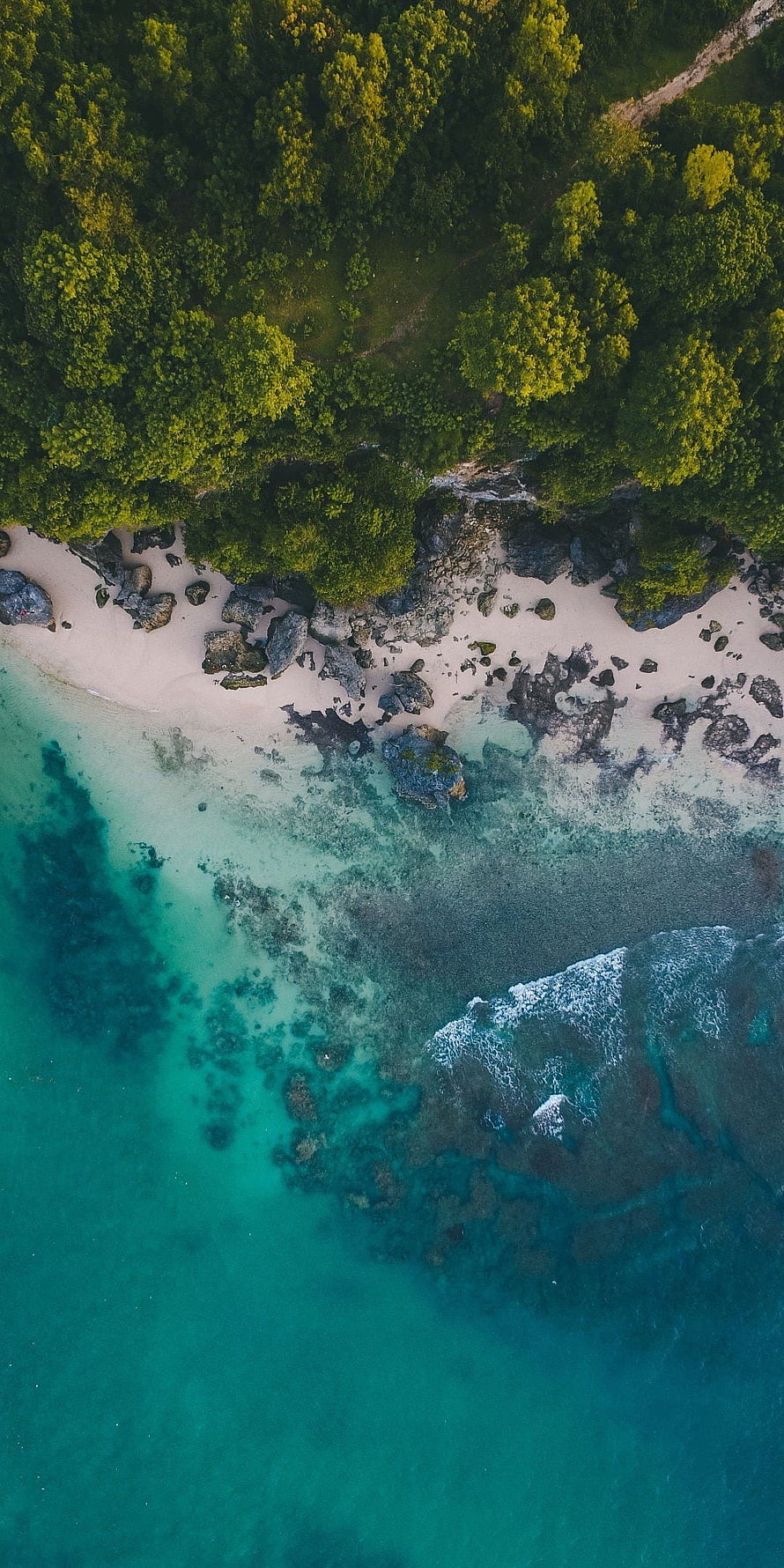 Aerial View of Tropical Beach with Turquoise Water and Lush Forest HD phone wallpaper