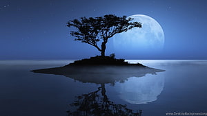 Silhouette of a lone tree on a small island with a full moon and calm water reflection at night HD wallpaper