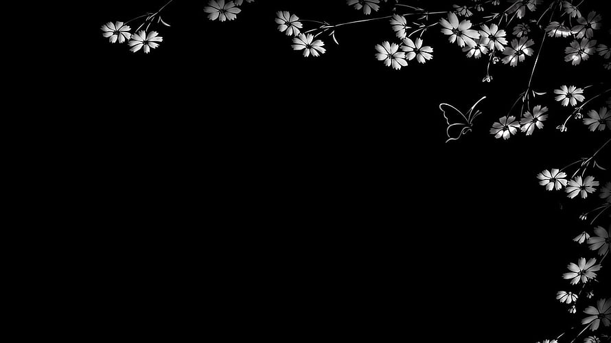 Monochrome Cherry Blossom Branches and Butterfly on Black Background HD wallpaper