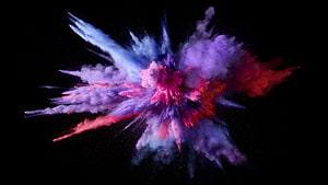 Vibrant Multicolored Powder Explosion on Black Background HD wallpaper