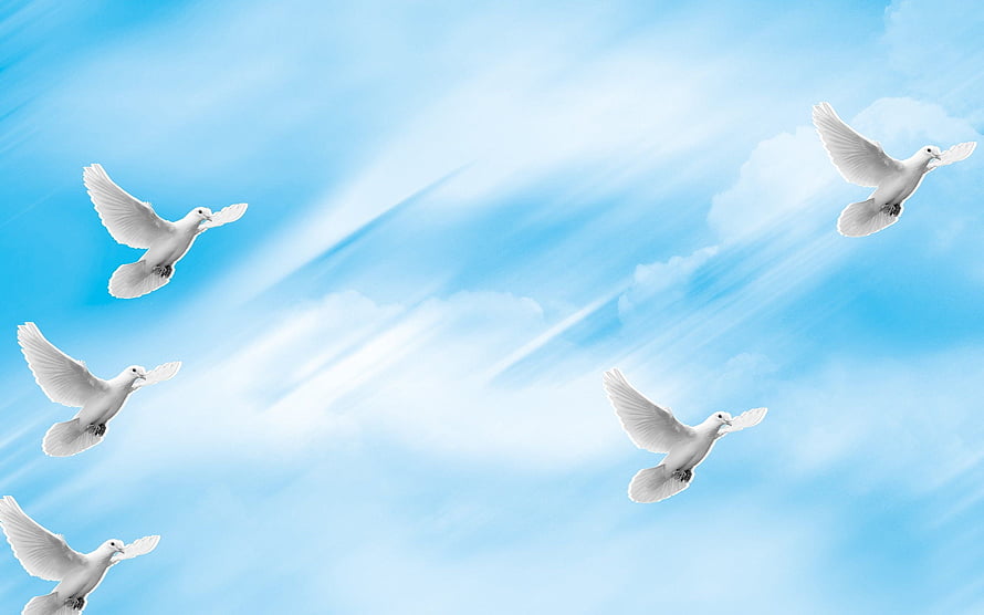 White doves soaring through a bright blue sky with soft clouds and sun rays HD wallpaper