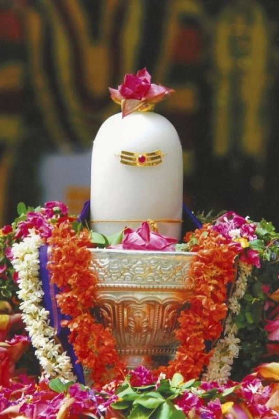White Shiva Lingam adorned with marigold garlands and a red rose in a golden pedestal HD phone wallpaper