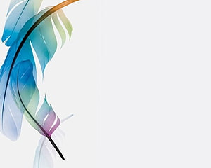 Elegant Watercolor Feather Design with Soft Blue and Green Hues on White Background HD wallpaper
