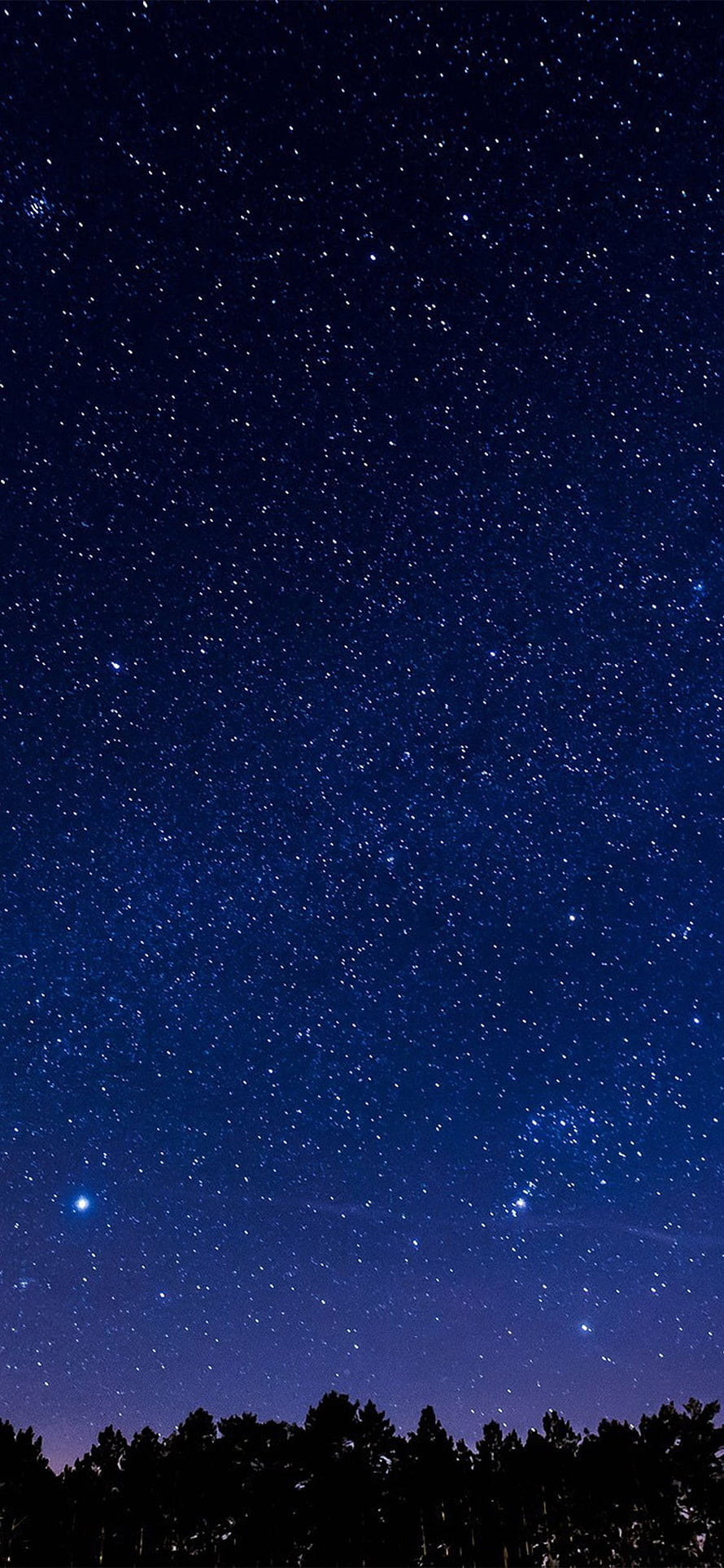 Deep Blue Night Sky Filled With Stars Above a Dark Forest Silhouette HD phone wallpaper
