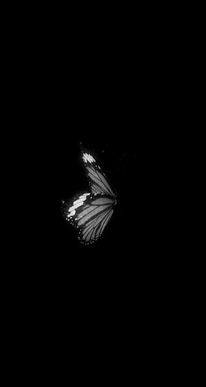 Monochrome Butterfly in Flight Against a Deep Black Void HD phone wallpaper