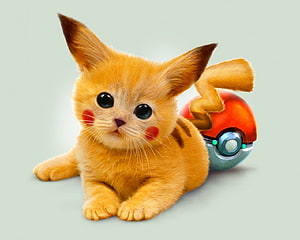 Cute Pikachu Kitten with Pokeball on Light Background HD wallpaper