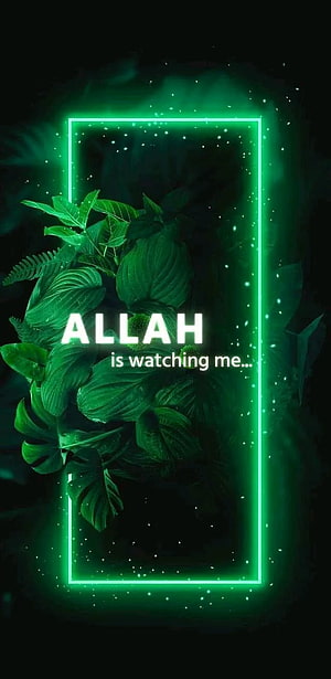 Glowing Green Neon Frame With Tropical Leaves And Islamic Faith Quote HD phone wallpaper