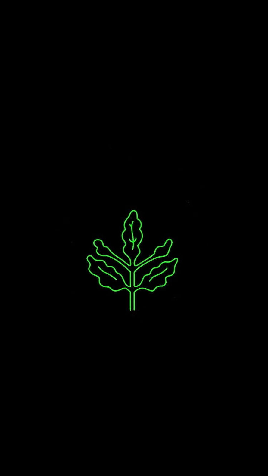 Fenerbahce Neon Leaf Emblem Minimalist Black Background HD phone wallpaper